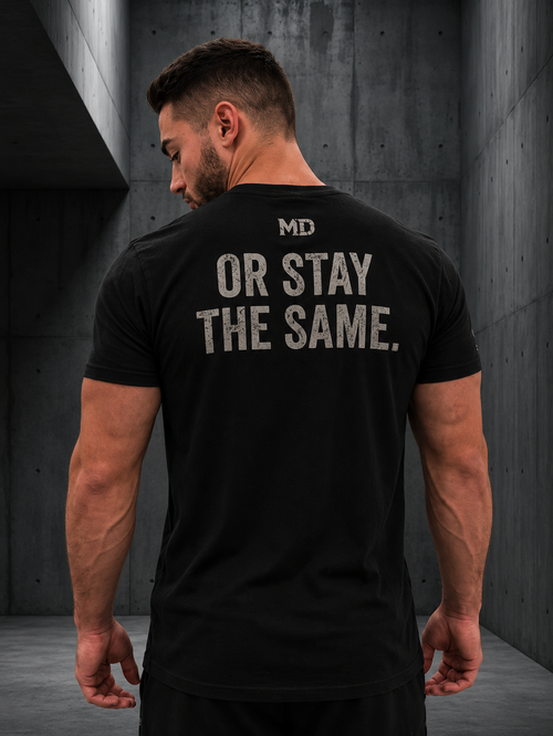 Train Insane Or Stay The Same T